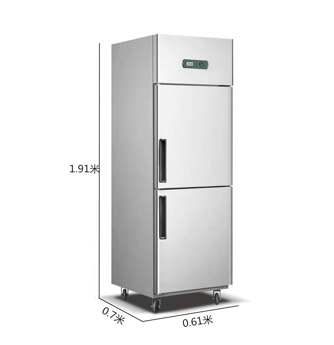 2 Door Freezer Commercial Refrigerator - 500L